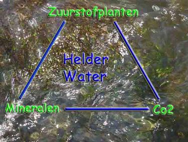 de biologische kringloop: zuurstofplanten, CO2 en mineralen (hard water)